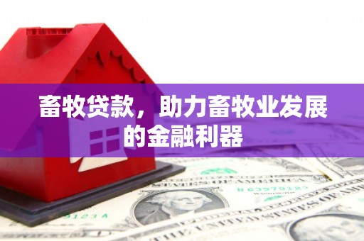 郾城畜牧贷款，助力畜牧业发展的金融利器