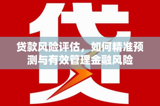 郾城贷款风险评估，如何精准预测与有效管理金融风险