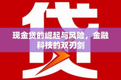 郾城现金贷的崛起与风险，金融科技的双刃剑