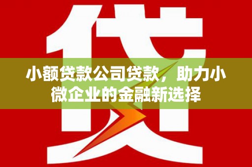 郾城小额贷款公司贷款，助力小微企业的金融新选择