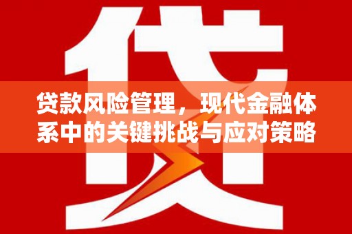 郾城贷款风险管理，现代金融体系中的关键挑战与应对策略
