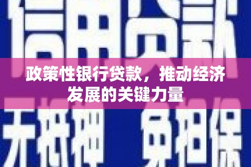 郾城政策性银行贷款，推动经济发展的关键力量
