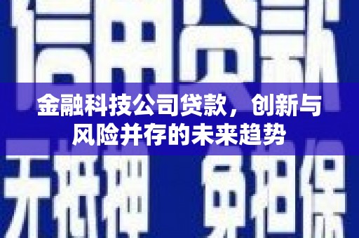 郾城金融科技公司贷款，创新与风险并存的未来趋势