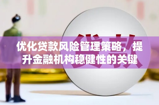 郾城优化贷款风险管理策略，提升金融机构稳健性的关键