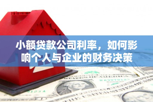 郾城小额贷款公司利率，如何影响个人与企业的财务决策