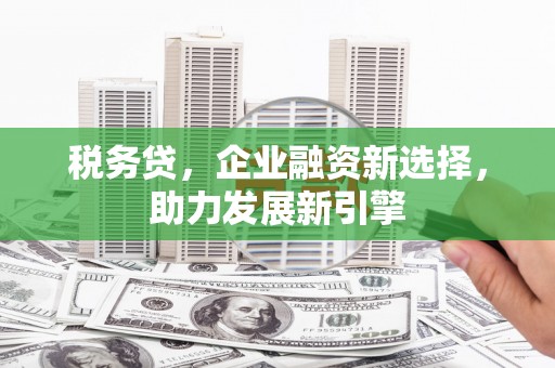 郾城税务贷，企业融资新选择，助力发展新引擎