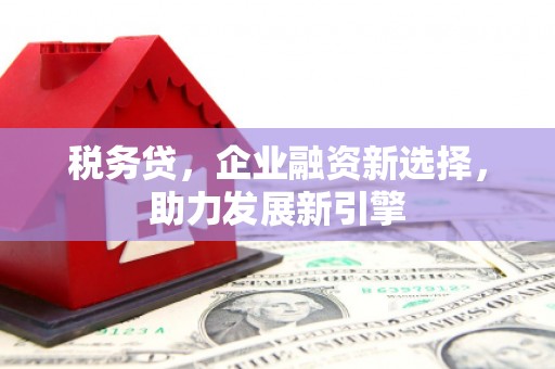 郾城税务贷，企业融资新选择，助力发展新引擎