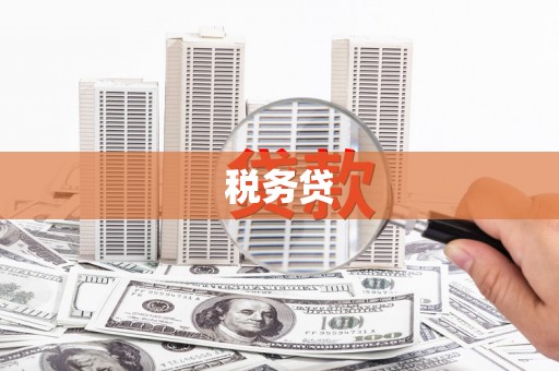 郾城税务贷
