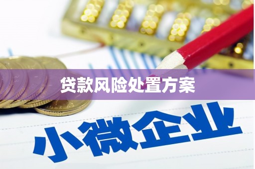 郾城贷款风险处置方案