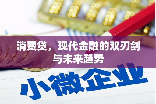 郾城消费贷，现代金融的双刃剑与未来趋势