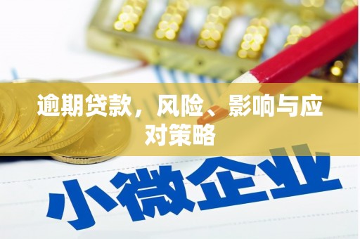 郾城逾期贷款，风险、影响与应对策略