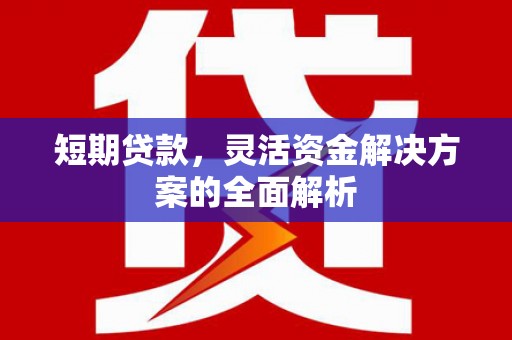 郾城短期贷款，灵活资金解决方案的全面解析