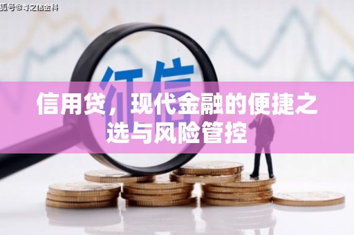 郾城信用贷，现代金融的便捷之选与风险管控
