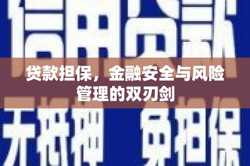 郾城贷款担保，金融安全与风险管理的双刃剑