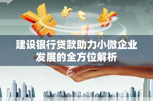 郾城建设银行贷款助力小微企业发展的全方位解析