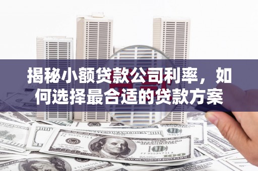 郾城揭秘小额贷款公司利率，如何选择最合适的贷款方案