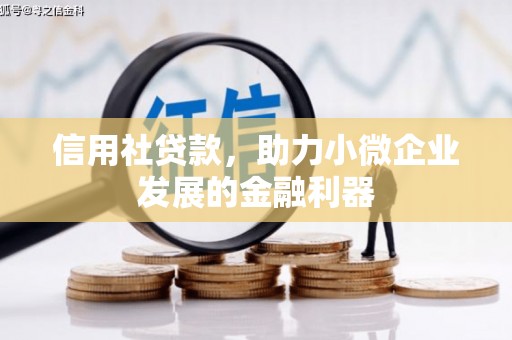郾城信用社贷款，助力小微企业发展的金融利器