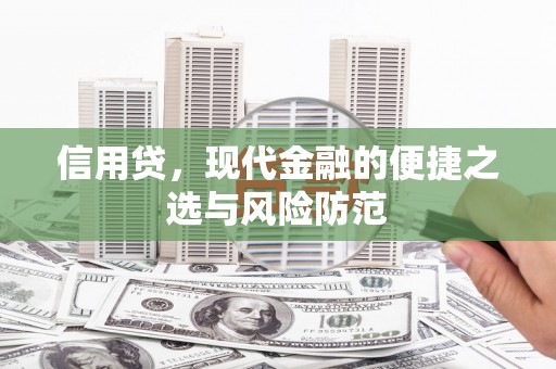郾城信用贷，现代金融的便捷之选与风险防范