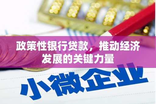 郾城政策性银行贷款，推动经济发展的关键力量