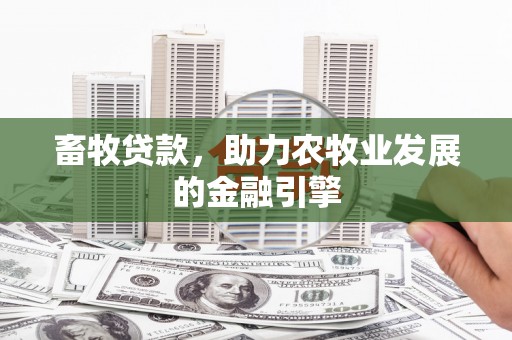 郾城畜牧贷款，助力农牧业发展的金融引擎