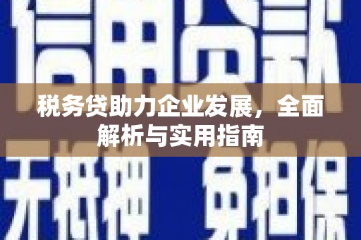 郾城税务贷助力企业发展，全面解析与实用指南