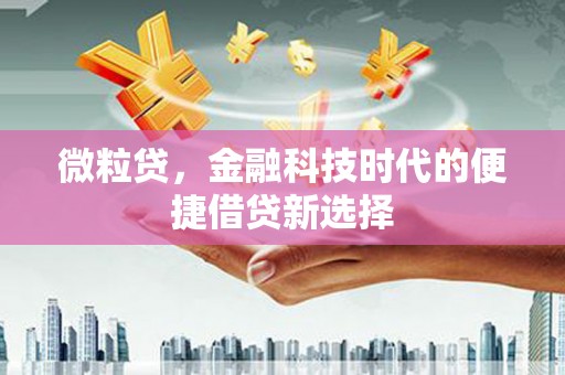 郾城微粒贷，金融科技时代的便捷借贷新选择