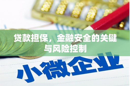 郾城贷款担保，金融安全的关键与风险控制