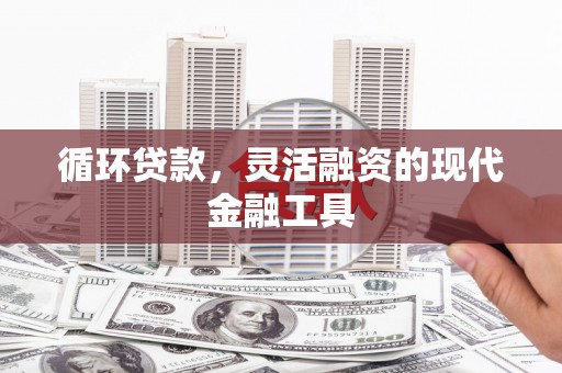 郾城循环贷款，灵活融资的现代金融工具