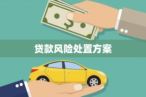 郾城贷款风险处置方案