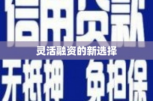 郾城灵活融资的新选择